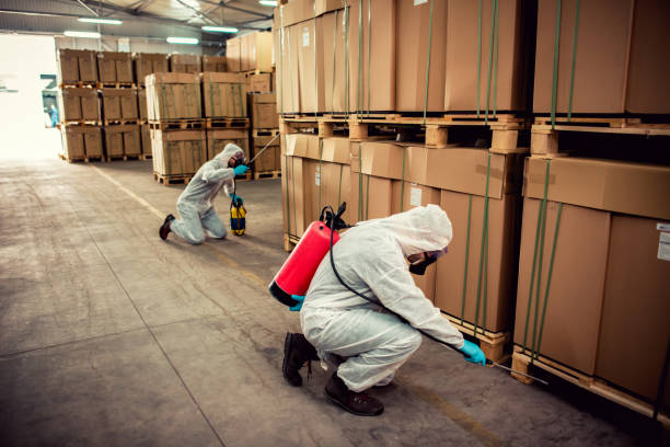 Reliable Wellman, IA Pest Control Solutions