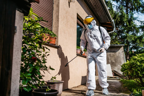 Best Residential Pest Control  in Wellman, IA
