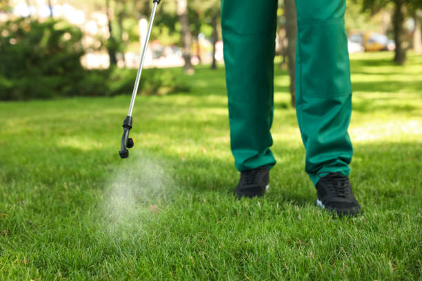 Best Emergency Pest Control  in Wellman, IA