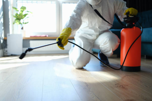 Best Wasp Removal Services  in Wellman, IA