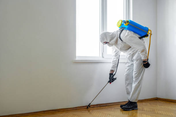 Best Pest Prevention Services  in Wellman, IA
