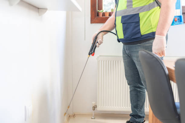 Best Termite Control Services  in Wellman, IA