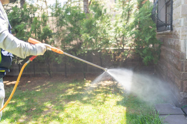 Insect Control in Wellman, IA