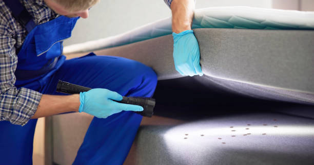 Best Rat Extermination Near Me  in Wellman, IA