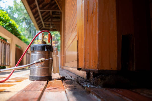 Best Cockroach Control Services  in Wellman, IA