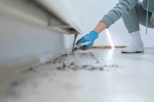 Best Pest Control Near Me in Wellman, IA