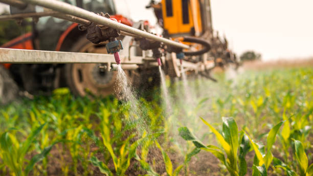 Professional Pest Control in Wellman, IA